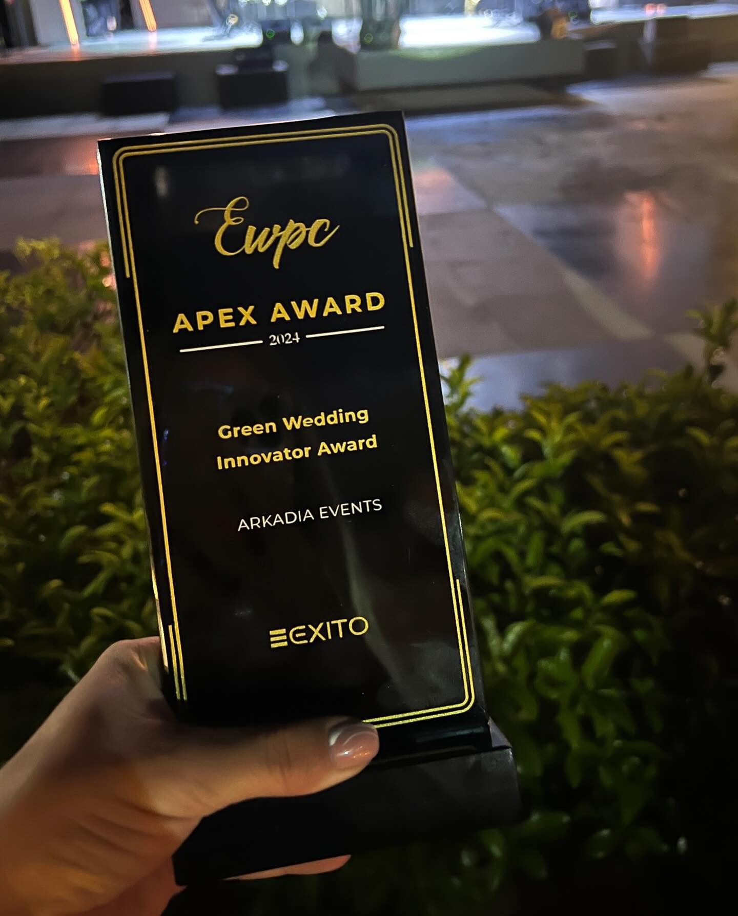 green-wedding-innovator-award-nagrada